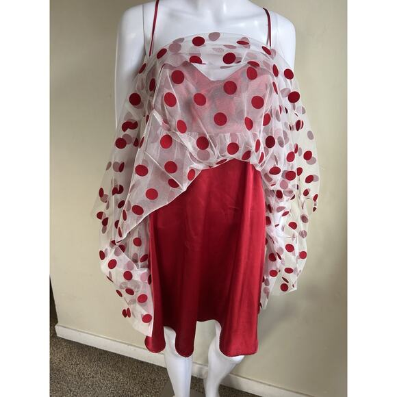 Betsey Johnson Polka Dot Mesh Babydoll Dress Womens 10 Red Pink Valentine - Picture 14 of 16